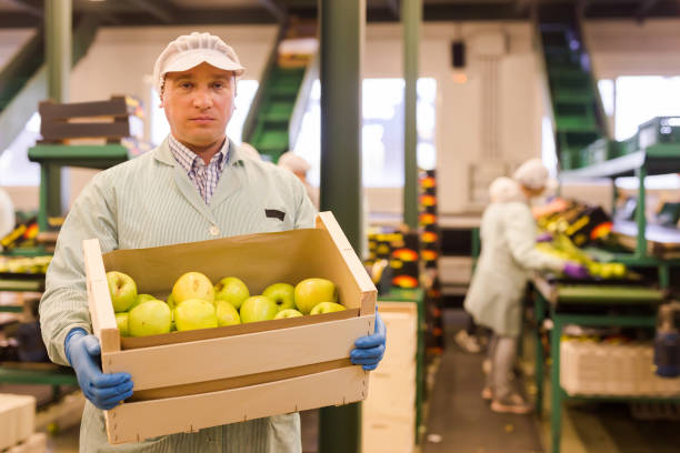 istock attentive man working on fruit sorting line, carrying box with apples in storage 1188713187