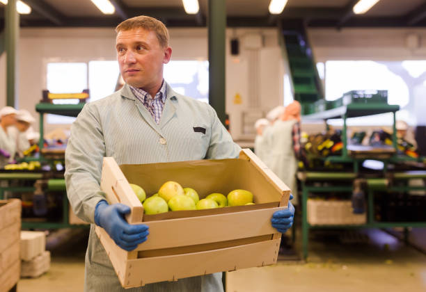 istock thoughtful man working on fruit sorting line, carrying box with apples in storage 1188713189