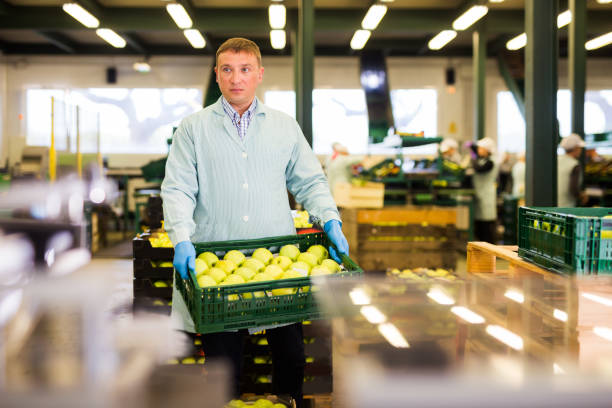 istock Man arranges boxes with apples at factory 1188713224