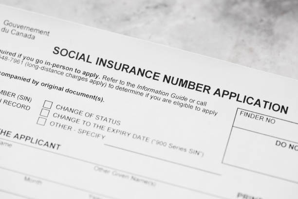 istock Social Insurance Number Application Form 1188717166