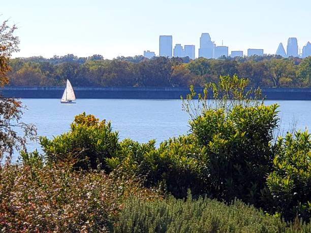 Dallas White Rock Lake Sailboat with Dallas Skyline in Background dallas texas photos stock pictures, royalty-free photos & images