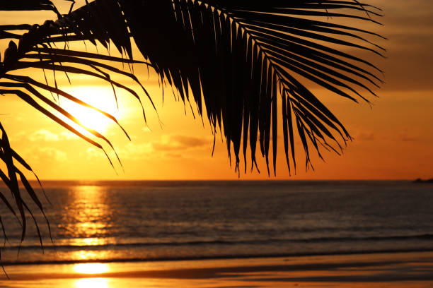 istock Sunset on a tropical beach, colorful seascape 1188720956