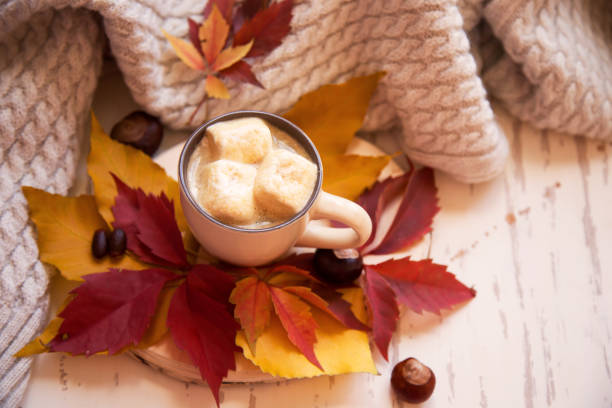 istock coffee with marshmallows and colorful autumn leaves 1188722871