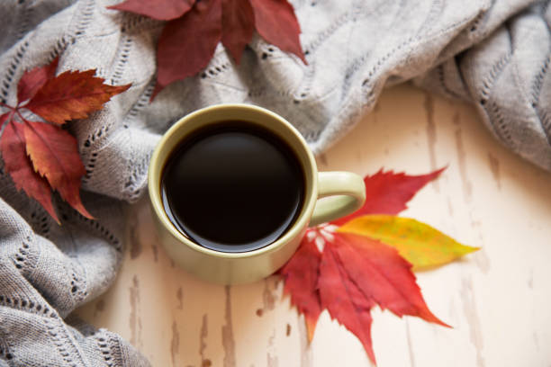 istock hot coffee and beautiful colorful autumn leaves 1188724092