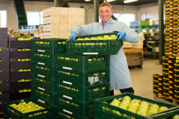 istock smiling man working on fruit sorting line, carrying box with apples in storage 1188724265