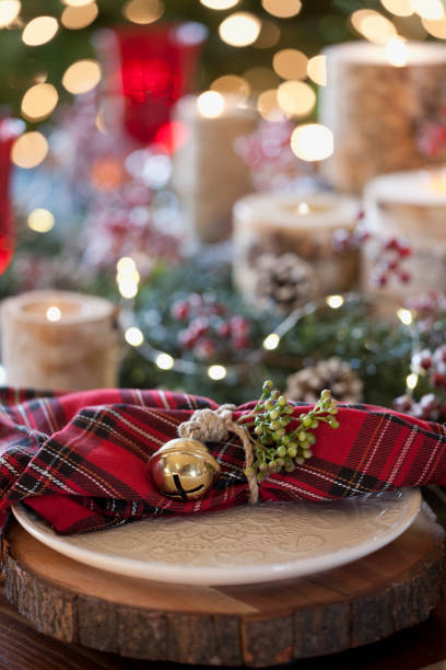istock Christmas Holiday Dining 1188724758