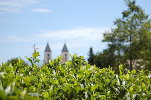 Beautiful plants and St. James church in the back. Medjugorje, Bosnia and Hercegovina.