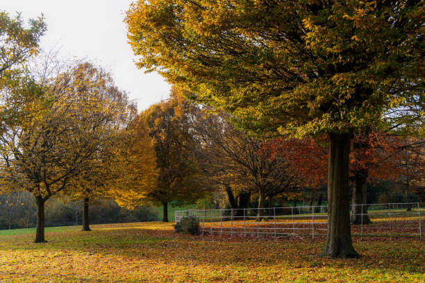 istock Beautiful Autumn at Grove Park, Birmingham, UK 1188735265