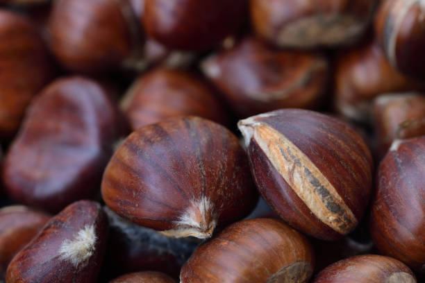 istock Background of fresh chestnuts with shell lying side by side 1188735916