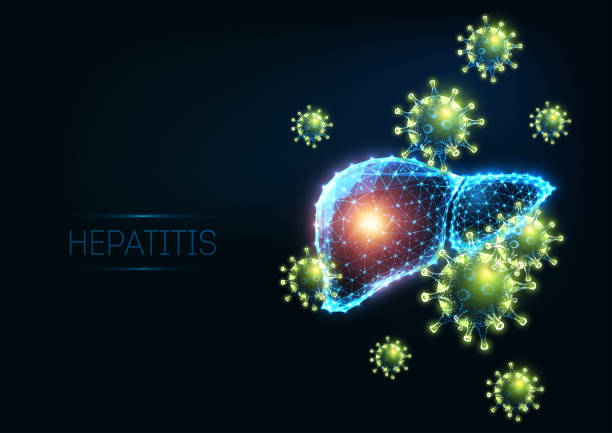 футуристическая концепция инфекционных заболеваний гепатита с светящейся низкой полигональной человеческой печени с вирусными клетками - hepatitis virus stock illustrations