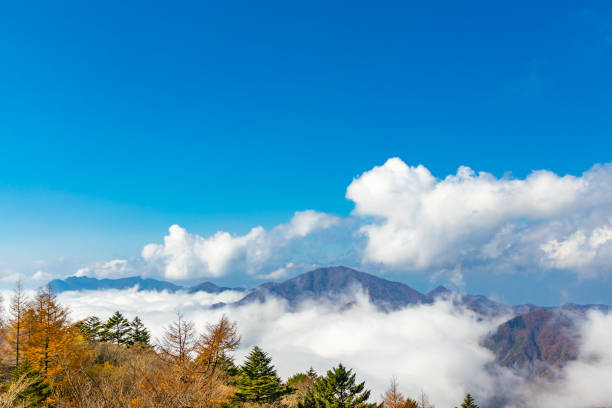 Blue sky, mountain and autumn leaves