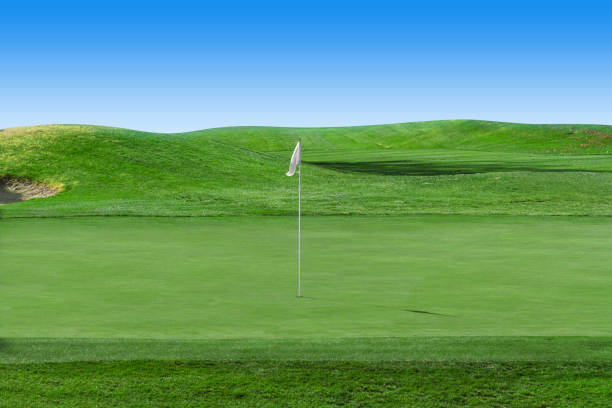 indicateur blanc sur un terrain de golf avec le ciel bleu - lawn desert golf california photos et images de collection