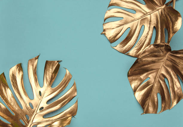 istock Golden monstera leaves on green background 1188744224