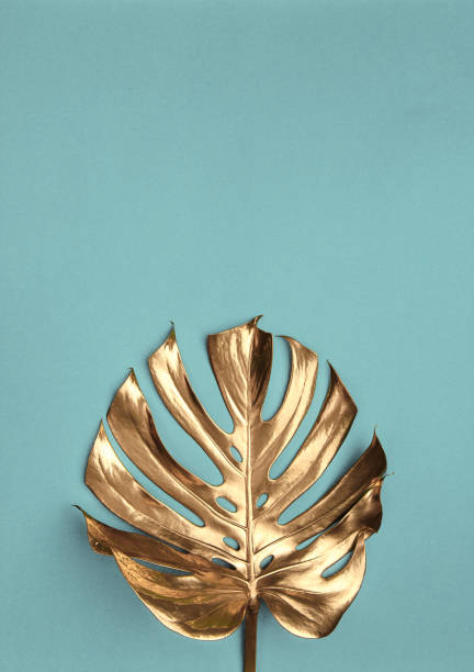 istock Golden monstera leaves on green background 1188744234