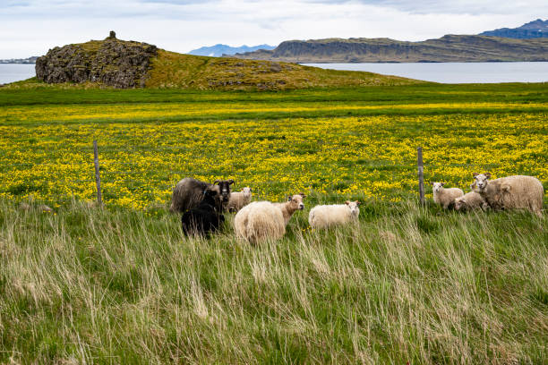istock Wonderful view of iceland nature 1188745122