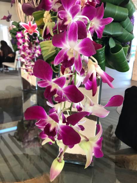 istock Tropical Orchid flower 1188747262