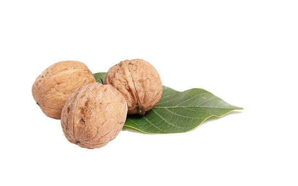 istock Tasty autumn walnuts on a white. 118875831