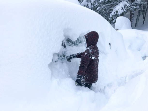 istock Snow blowing and clearing deep powder after a huge California storm. 1188759434