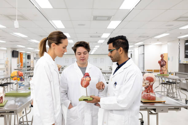 istock Three Medical Students Collaborating In University Lab 1188760584