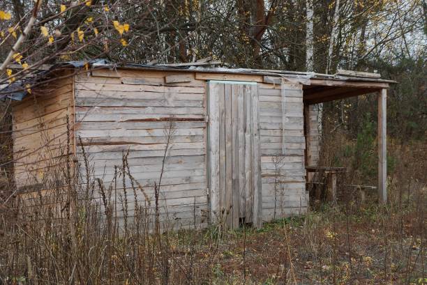 istock old gray plank shed stands on nature 1188763452