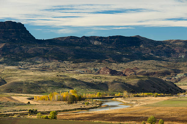 istock Painted Hills of Central Oregon 118877030