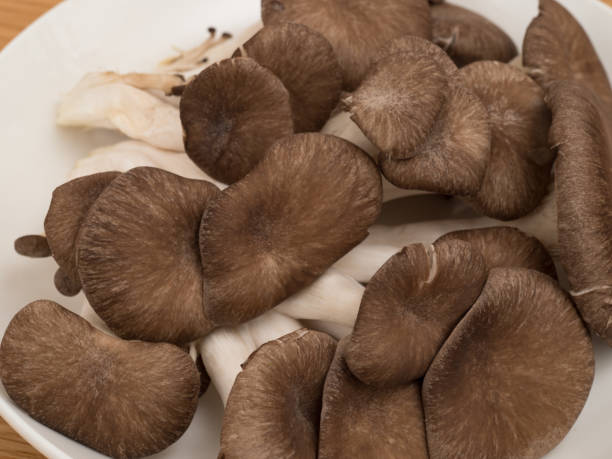 istock An edible mushroom named Hiratake 1188773086