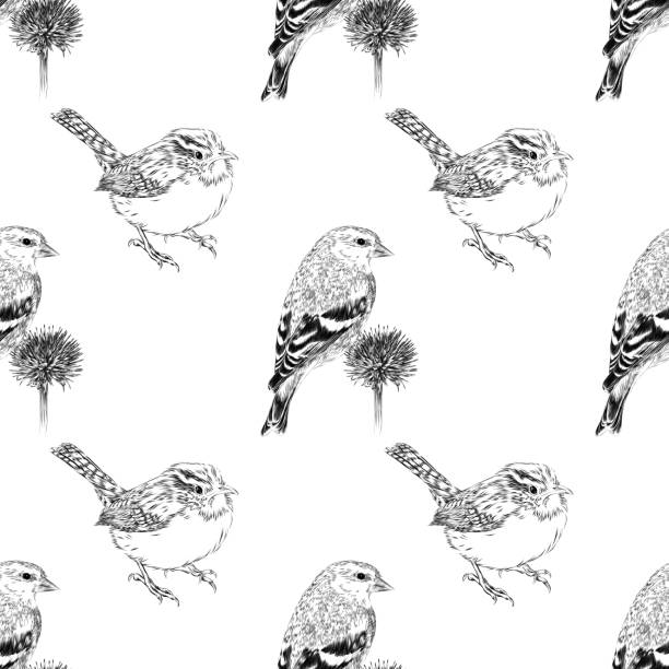 ilustraciones, imágenes clip art, dibujos animados e iconos de stock de goldfinch y wren pen y ink vector iillustration seamless pattern - wren