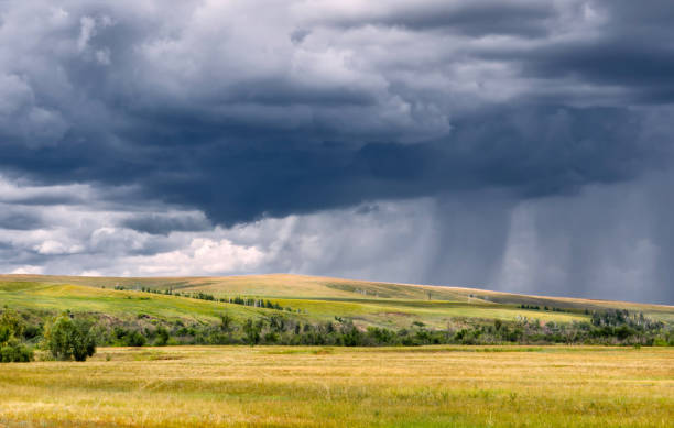 istock gray stormy sky and rain lines over yellow fields 1188780513