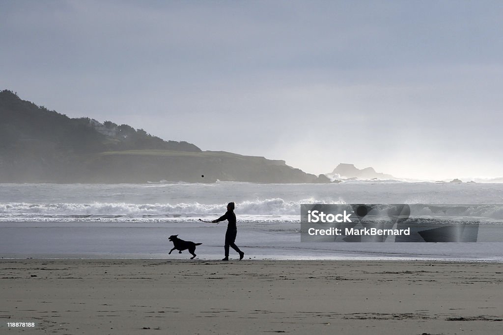 Pessoa e cachorro na praia - Foto de stock de Areia royalty-free