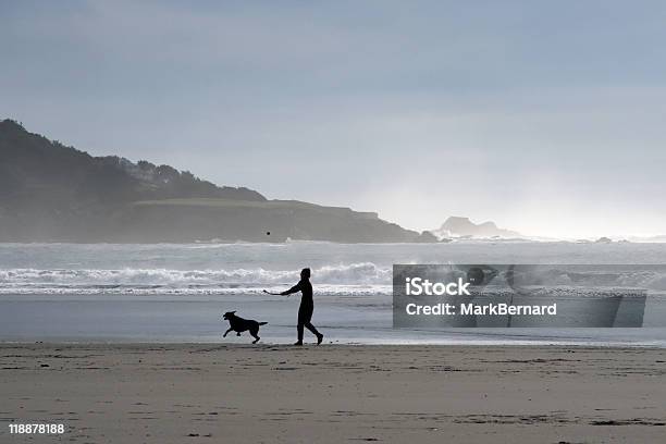 Foto de Pessoa E Cachorro Na Praia e mais fotos de stock de Areia - Areia, Brincar, Cão