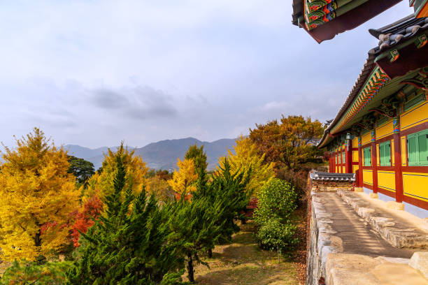 istock A landscape view of a mountain temple covered with maple trees. 1188785390