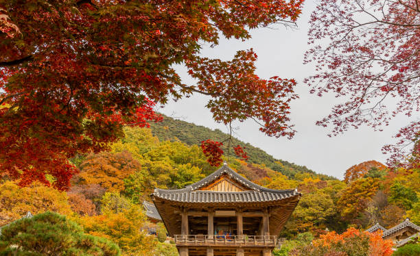 istock A landscape view of a mountain temple covered with maple trees. 1188785415
