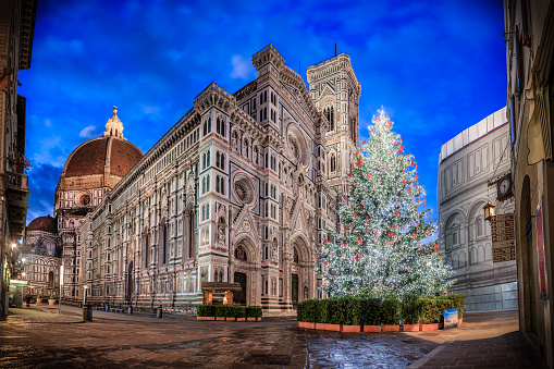 Duomo of Florence with the Christmas tree