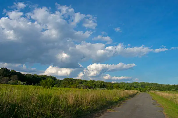 Scenic views along the bike trail at Big Brook Park in Marlboro, New Jersey, USA.