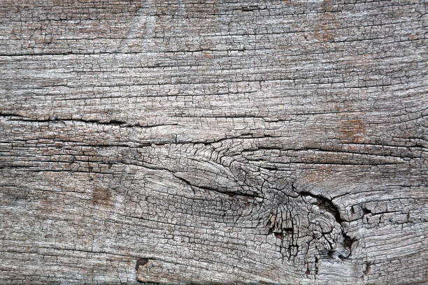 istock Pattern of old wood floor for background. 1188792727