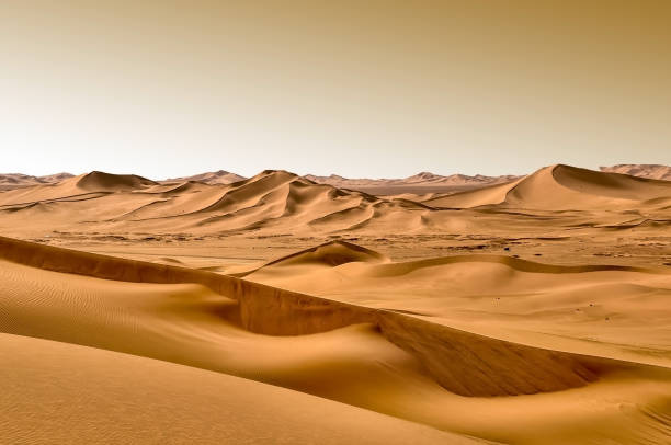 sanddünen in der wüste - sahara desert stock-fotos und bilder