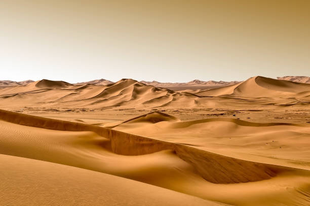 sand dunes in the desert - sahara desert imagens e fotografias de stock