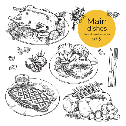 set of illustrations with main dishes. meat dishes. hand drawn vector illustration.