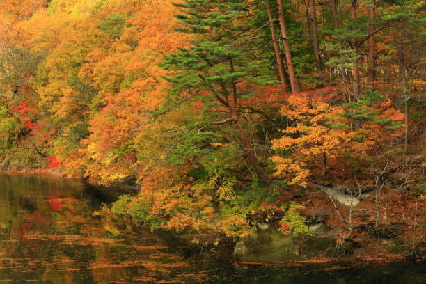 istock Iwate Prefecture Autumnal Lake 1188805932