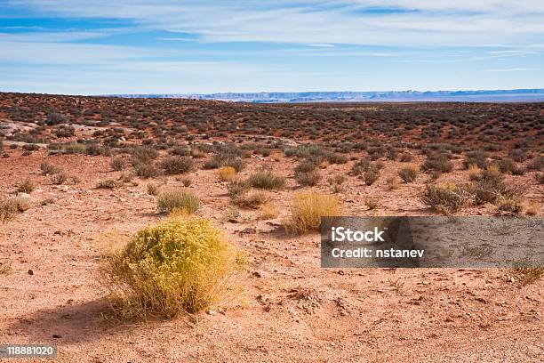 Deserto Do Arizona - Fotografias de stock e mais imagens de Amarelo - Amarelo, Ao Ar Livre, Arbusto