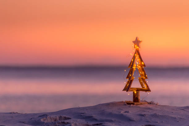 Coastal summer Christmas.  Christmas in Australia A coastal summer Christmas in Australia.  A driftwood Christmas tree decorated with fairy lights on the beach in summer sunrise or sunset driftwood photos stock pictures, royalty-free photos & images