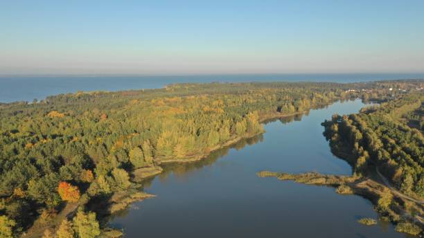 istock Beautiful river flowing along the forest shooting from a bird's eye view 1188817852