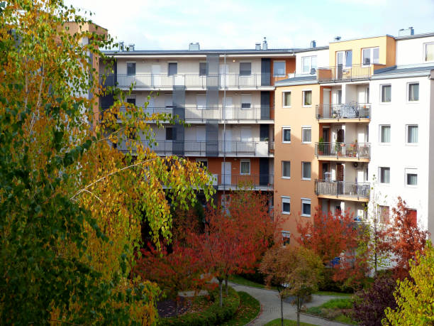istock bright yellow and green white birch trees in courtyard 1188819650