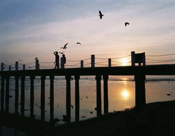 Couple walk on the bridge in sunset time with birds silhouette