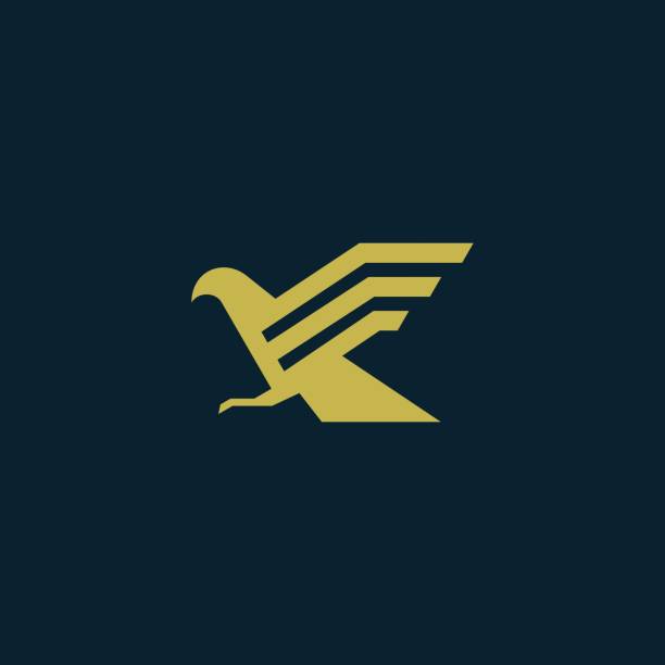 премиум смелый золотой орел логотип компании - сокол stock illustrations