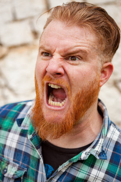 istock Expressive red haired hipster man with blue plaid shirt 1188828541