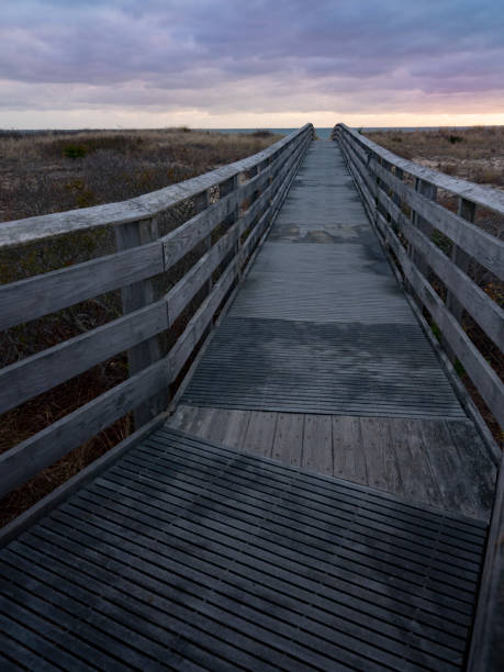 istock Curving wooden boardwalk crossing sandy beach at twilight 1188830352