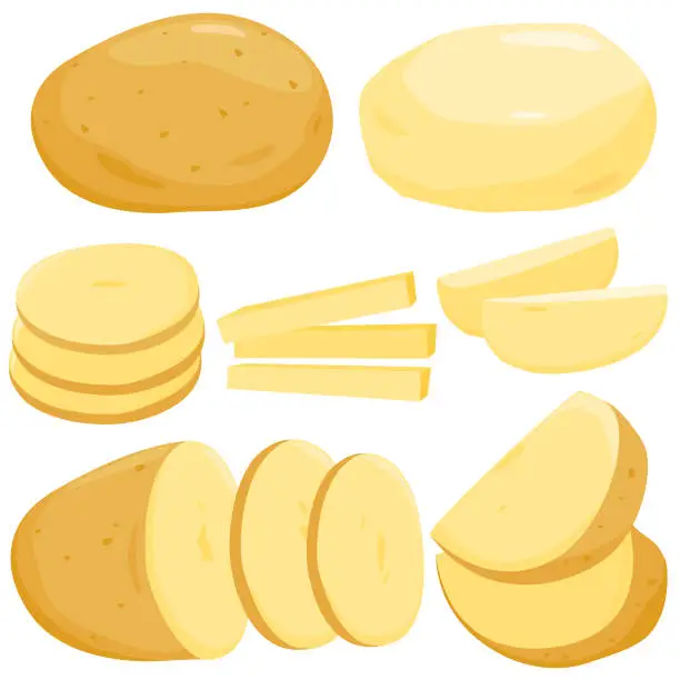 Vector illustration of Whole, sliced and peeled potatoes. Vector illustration.