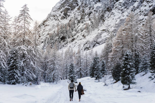 雪に覆われた森の中で手をつないで2人のロマンチックなハイカー - snow hiking ストックフォトと画像