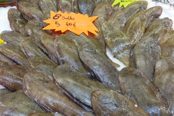 istock Sole  Fish Market  Price Tag 1188833150